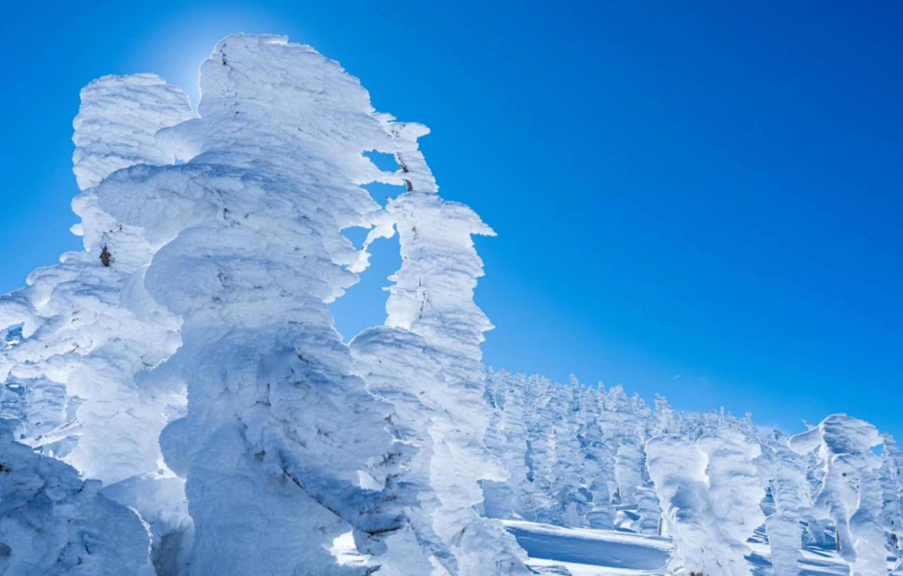 Snowfall Meteor 飛雪流星 카미노야마 외부 사진